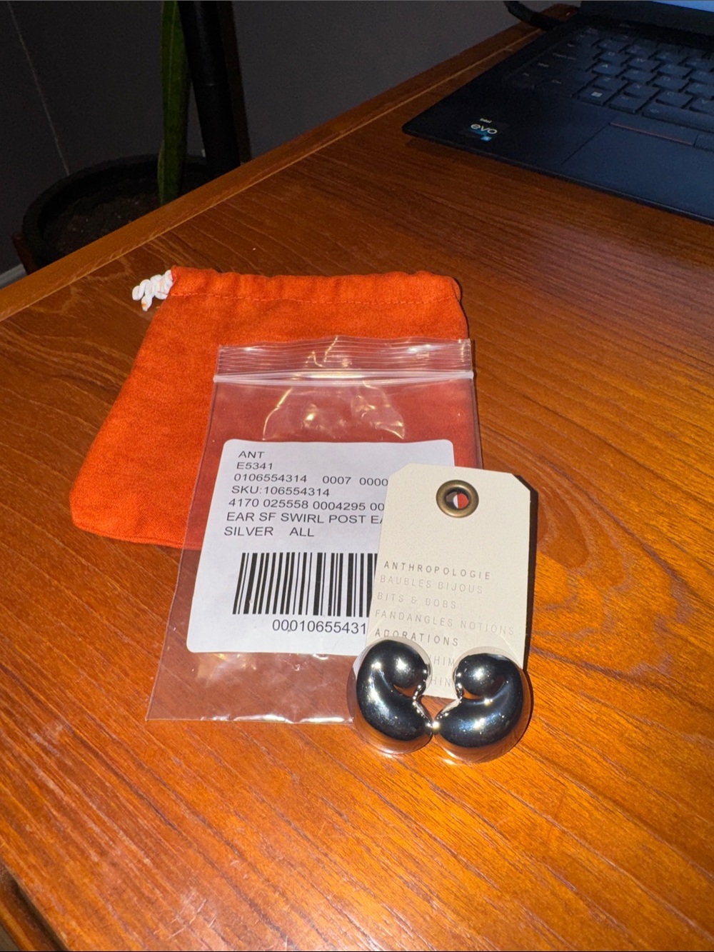Anthropologie Silver Swirl Post Earrings - NWT